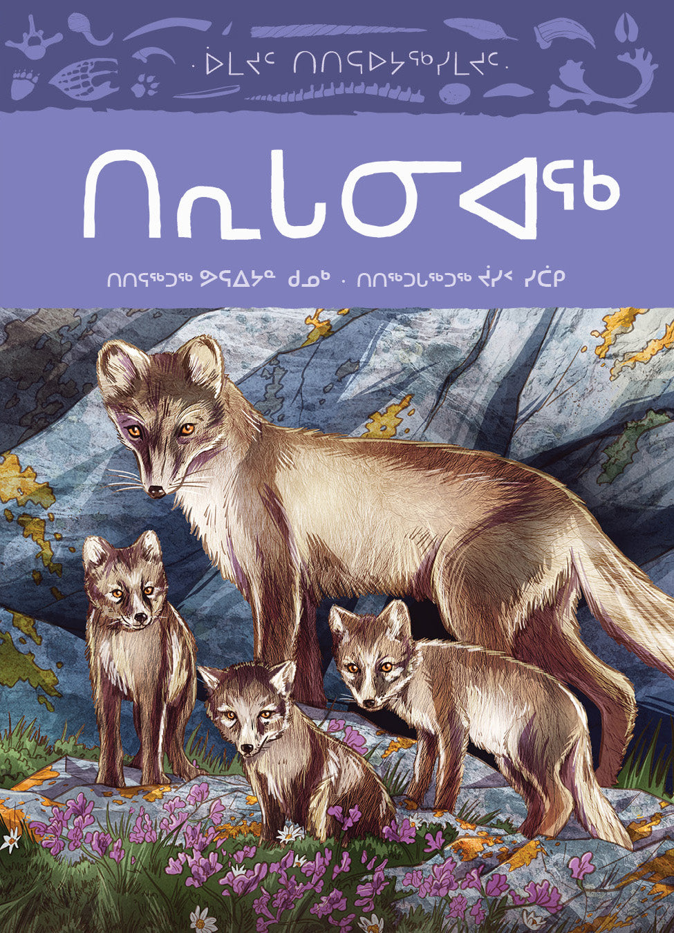 Animals Illustrated: Arctic Fox