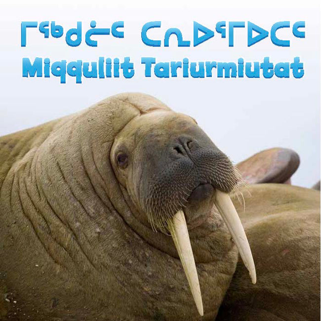 Marine Mammals