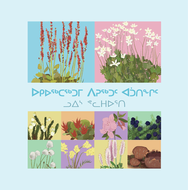 Arctic Plant Uses