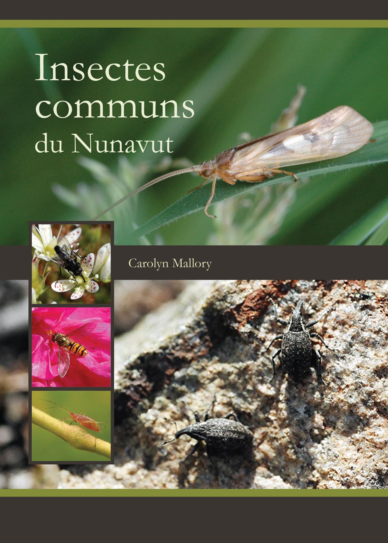 French Cover