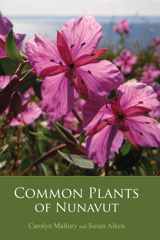 Englsih Cover