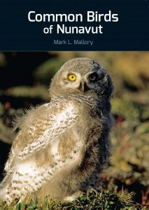 Common Birds of Nunavut