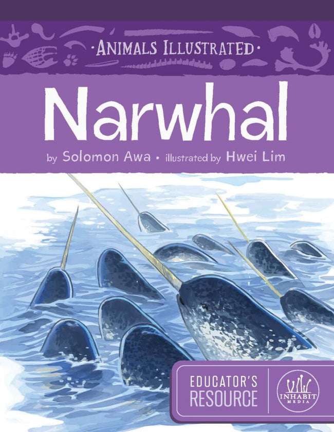 Animals Illustrated: Narwhal Educator's Resource