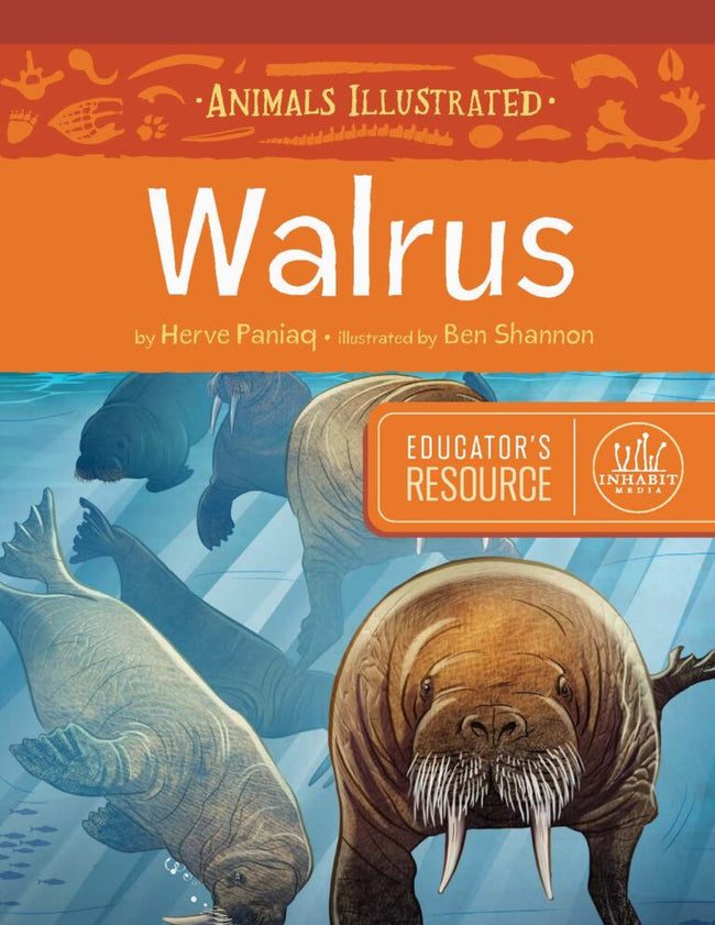 Animals Illustrated: Walrus Educator's Resource