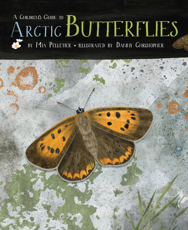A Children's Guide to Arctic Butterflies