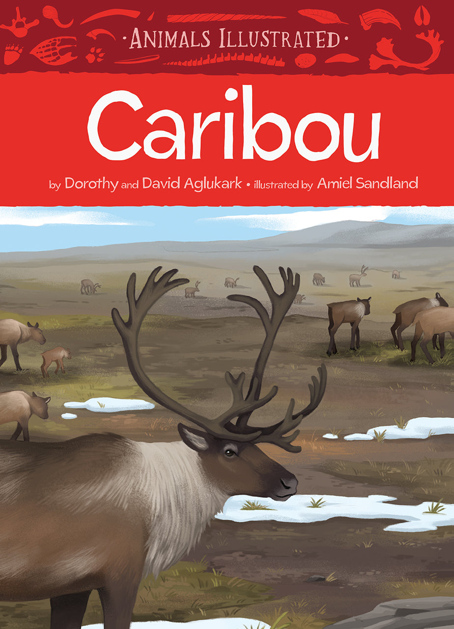 Animals Illustrated: Caribou