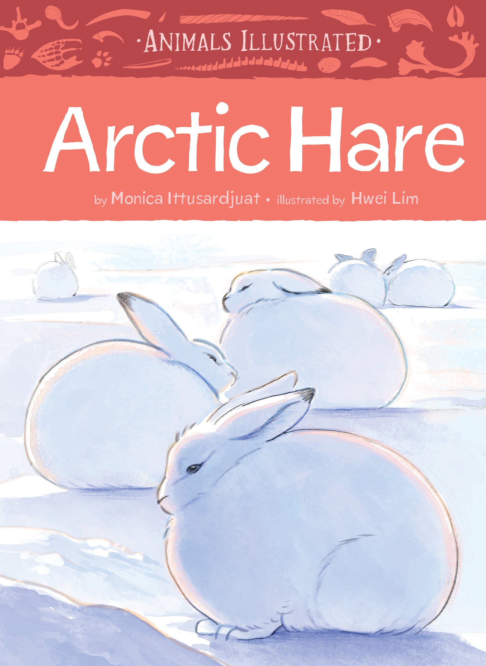 Animals Illustrated : Arctic Hare