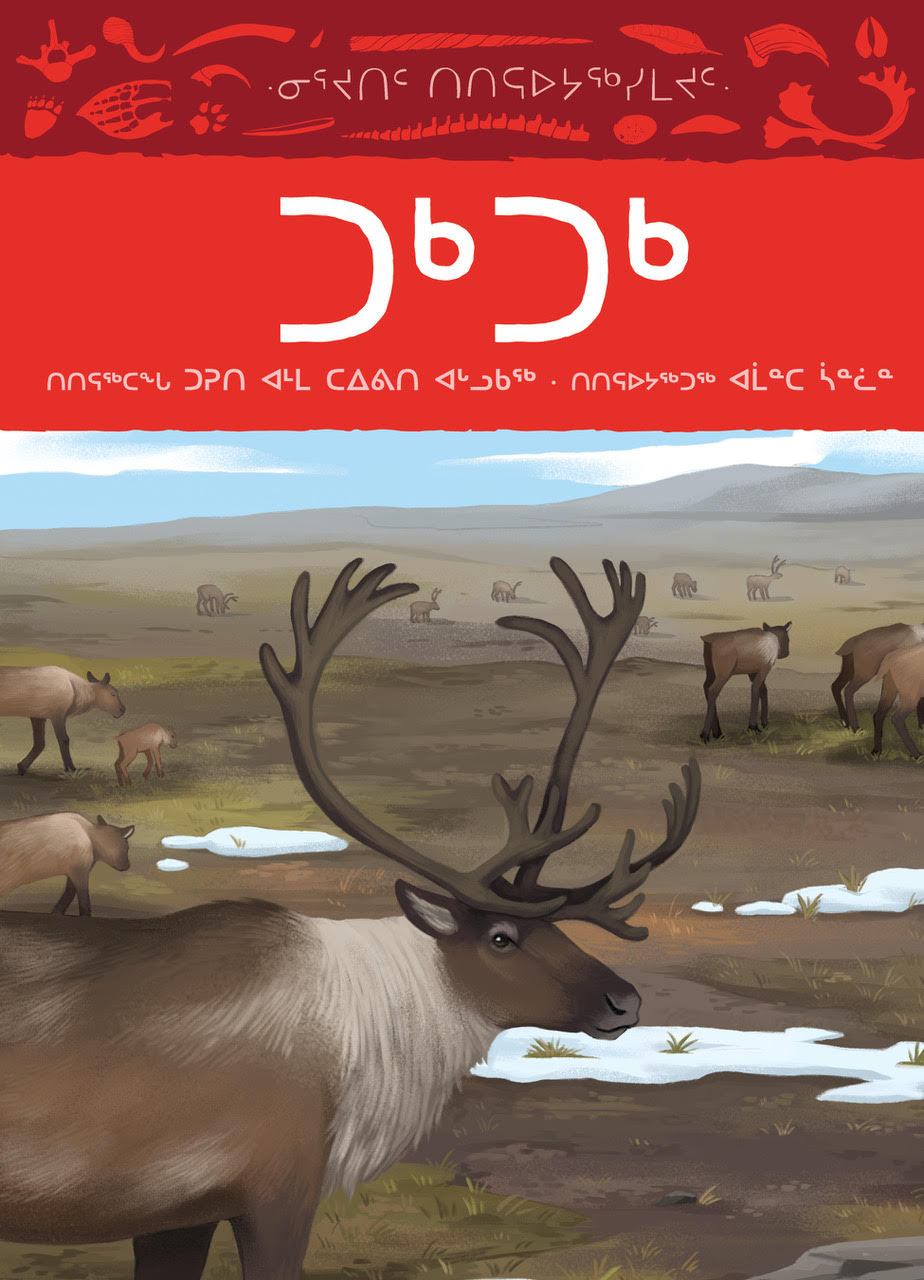 Animals Illustrated: Caribou