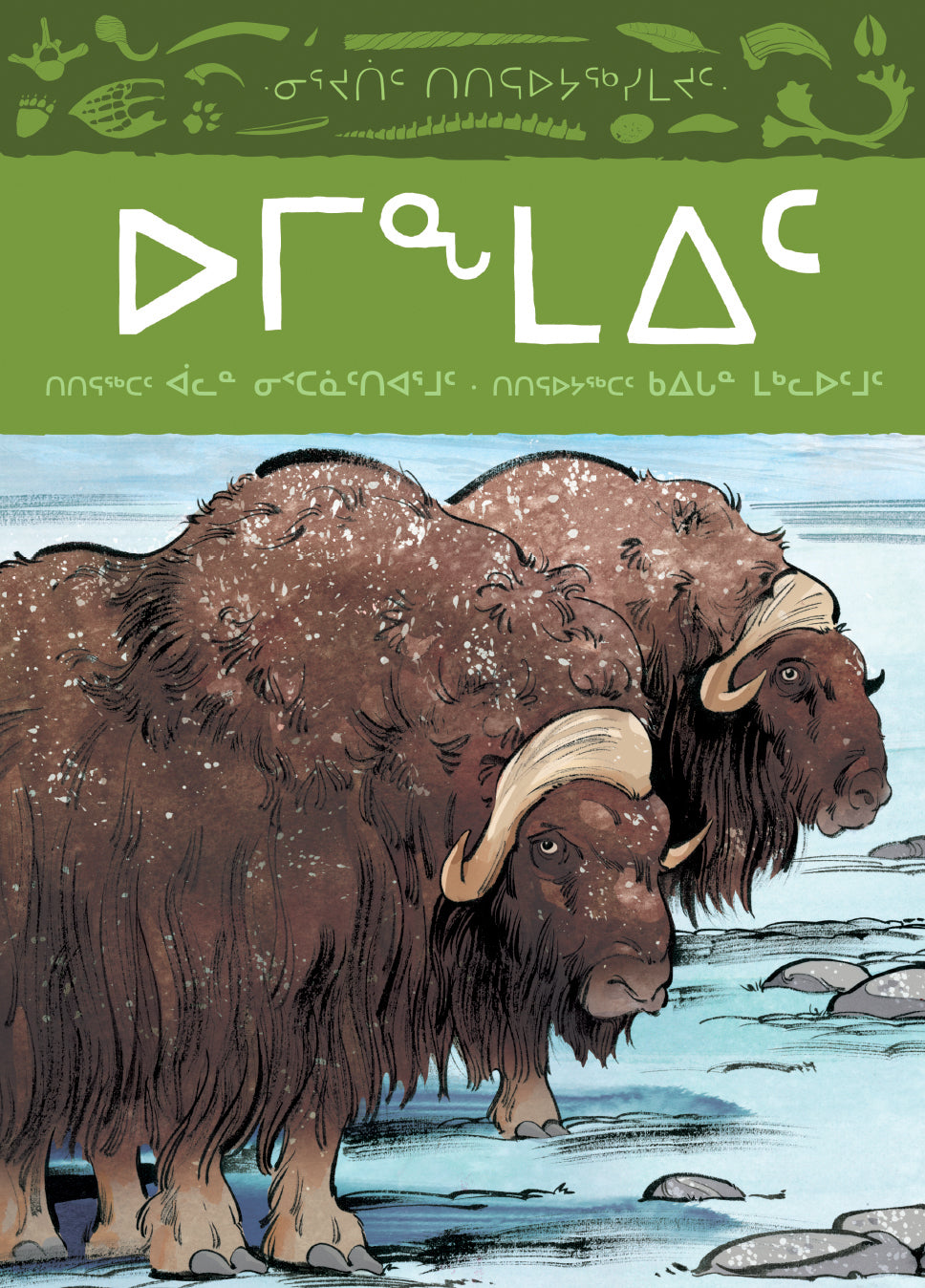 Animals Illustrated: Muskox