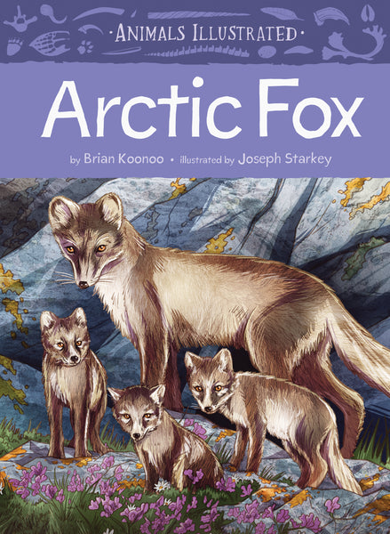 Animals Illustrated : Arctic Fox