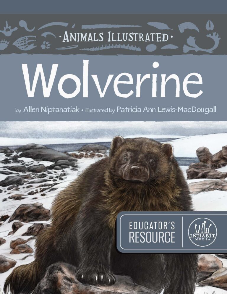 Animals Illustrated: Wolverine Educator's Resource