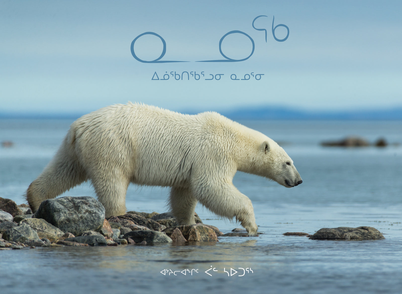Nanuq : Life with Polar Bears