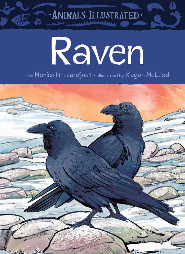 Animals Illustrated: Raven