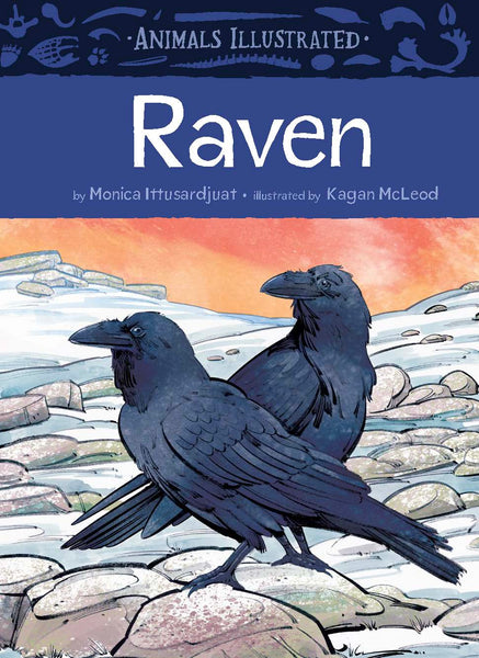 Animals Illustrated : Raven