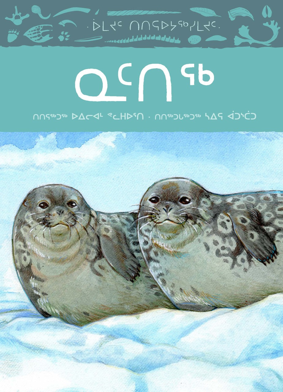 Animals Illustrated: Ringed Seal