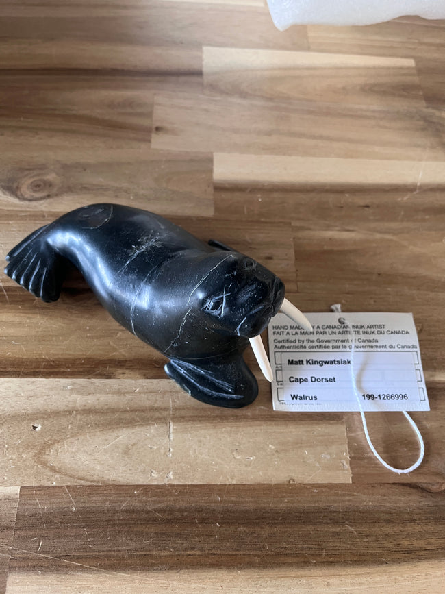 Walrus - 1266996 - 50% consignment