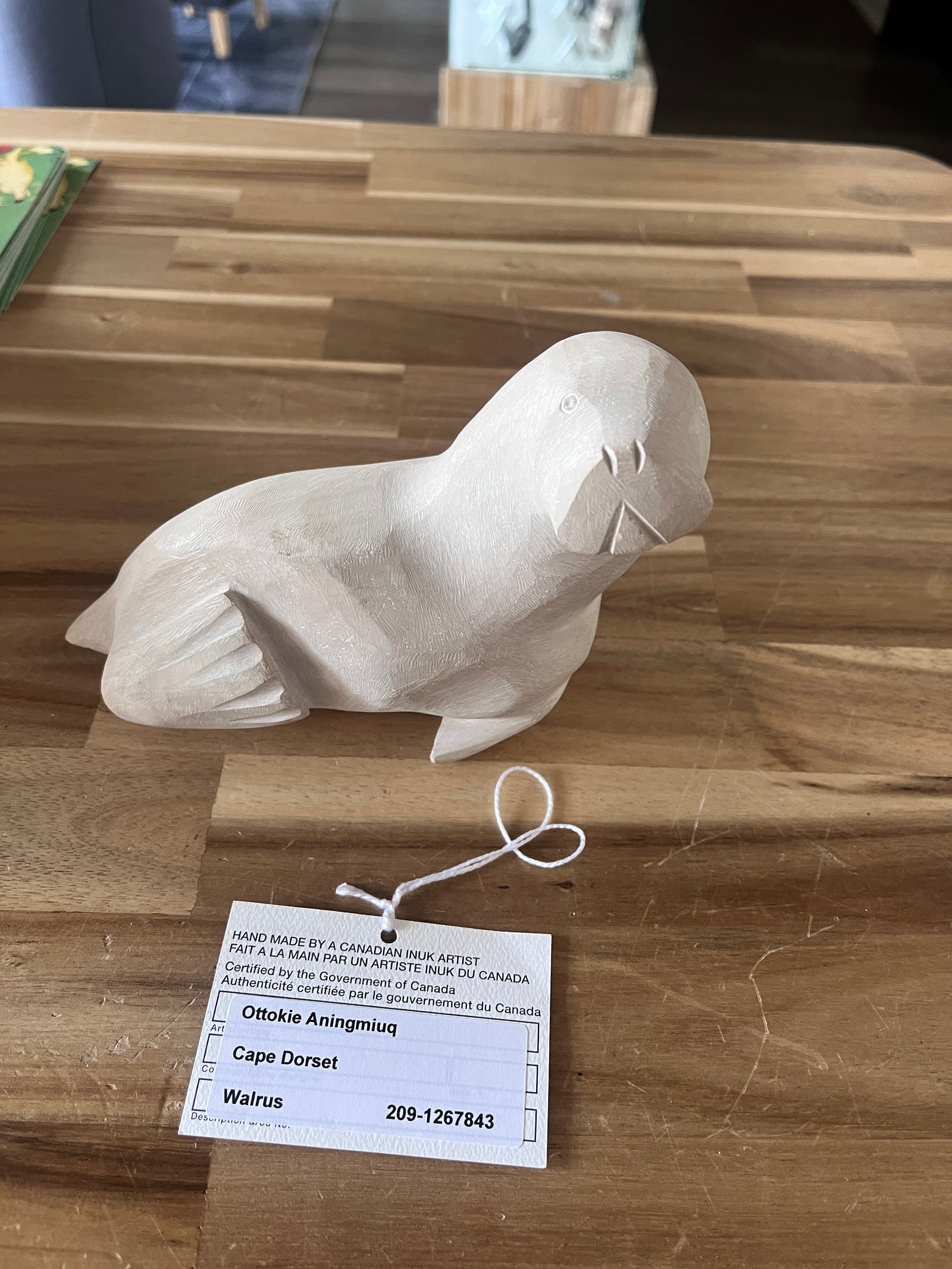 Walrus - 1267843 - 50% consignment