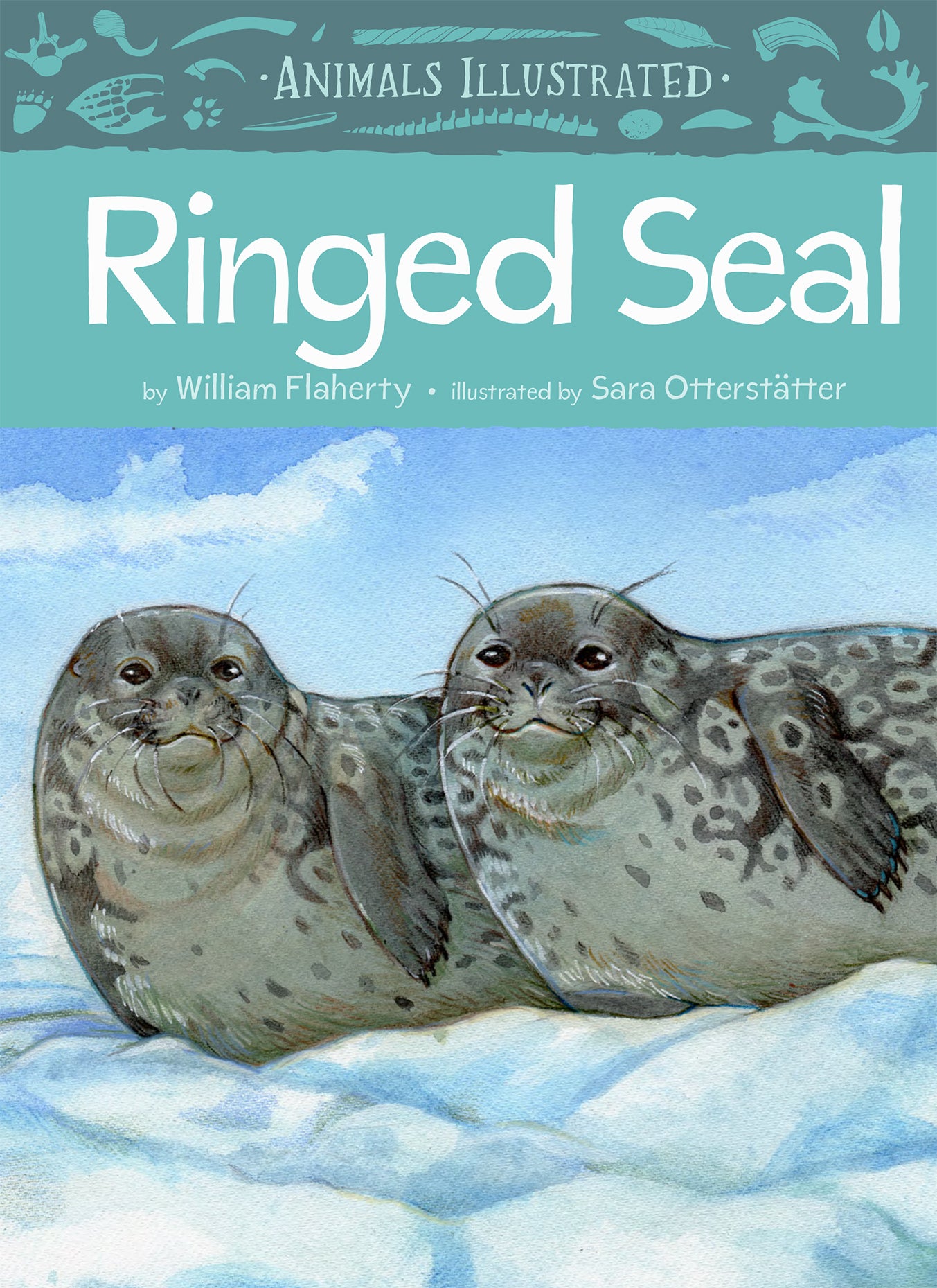 Animals Illustrated: Ringed Seal