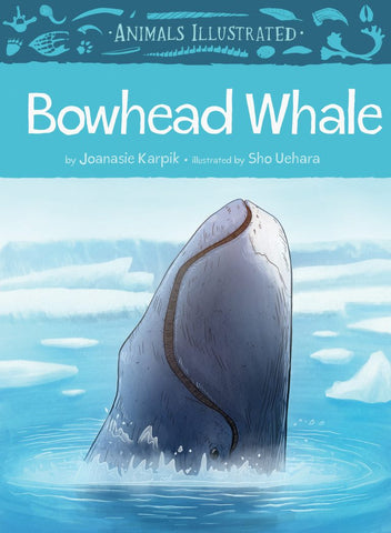 Animals Illustrated: Narwhal
