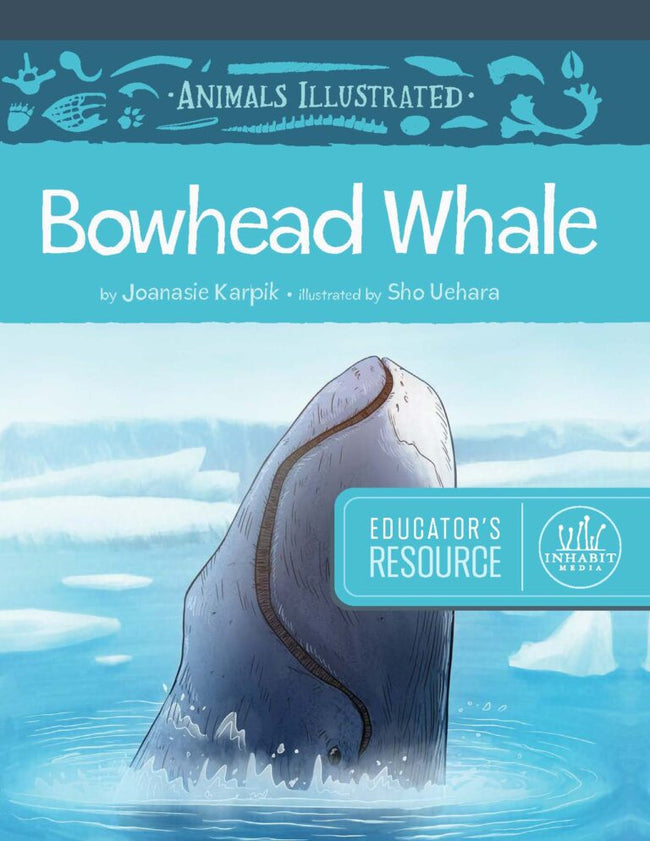 Animals Illustrated: Bowhead Whale Educator's Resource