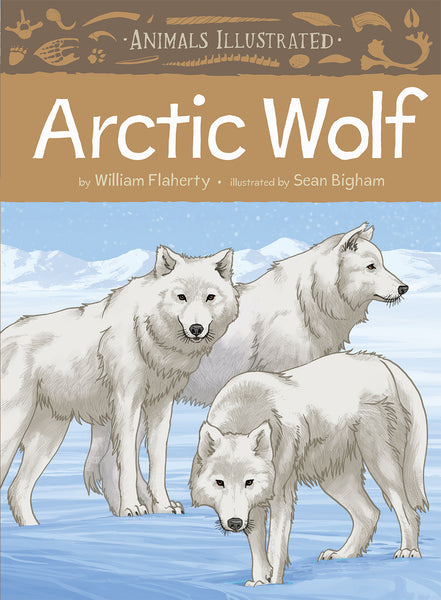 Animals Illustrated : Arctic Wolf
