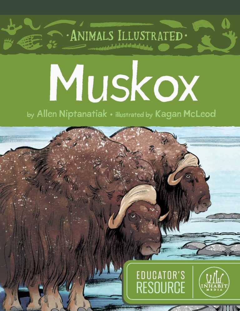 Animals Illustrated: Muskox Educator's Resource