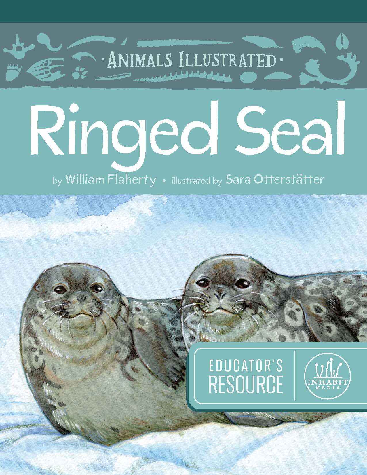 Animals Illustrated: Ringed Seal Educator's Resource