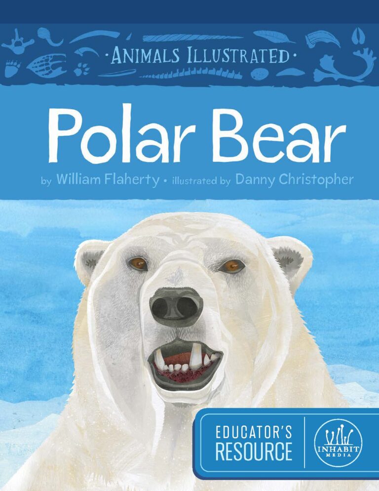 Animals Illustrated: Polar Bear Educator's Resource